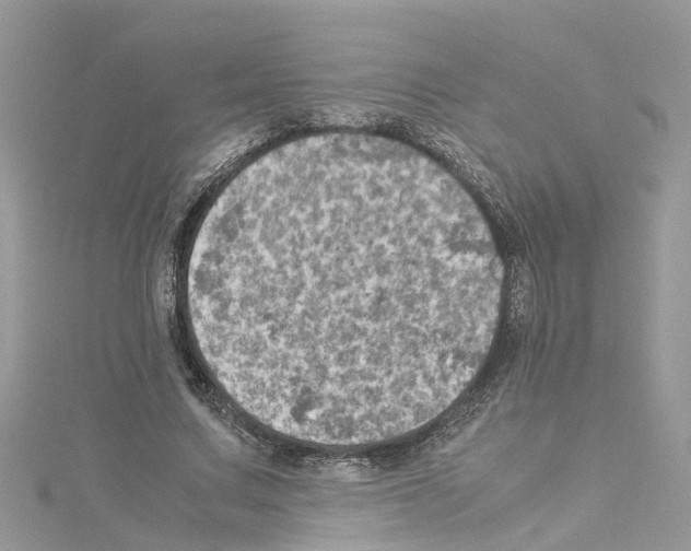 X0000114090683200911161037