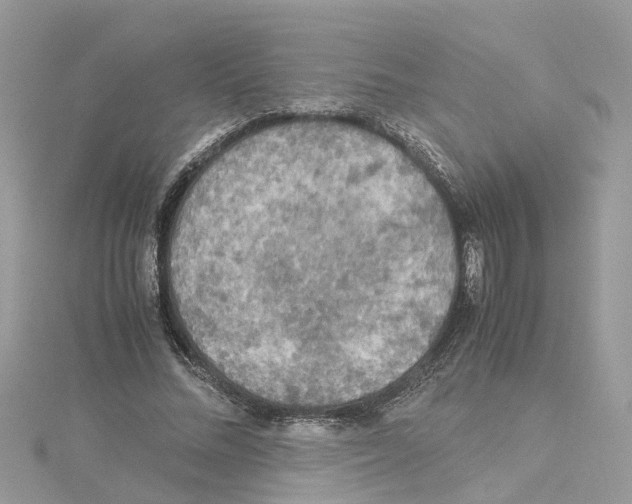 X0000114090684200911161037