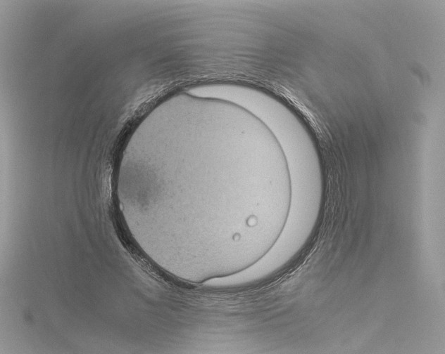 X0000114090685200911161037