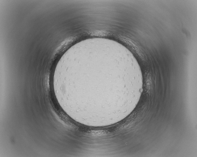 X0000114090686200911161037