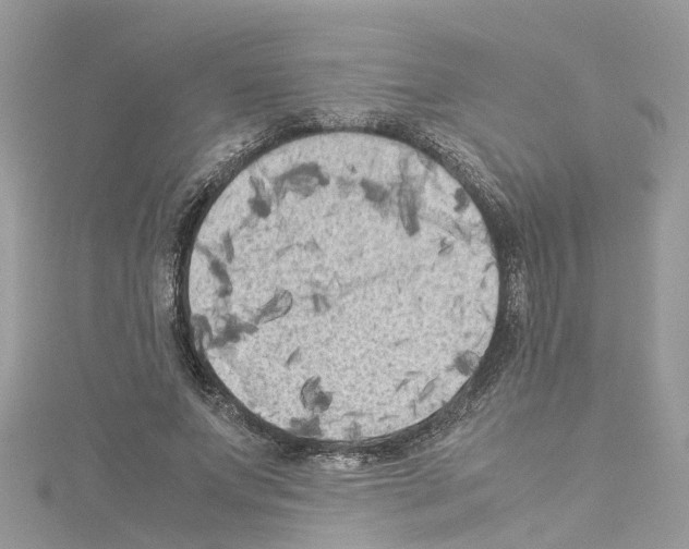 X0000114090687200911161037