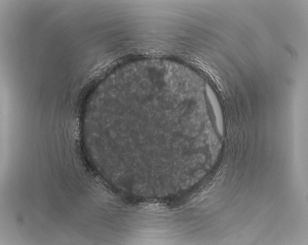 X0000114090689200911161037