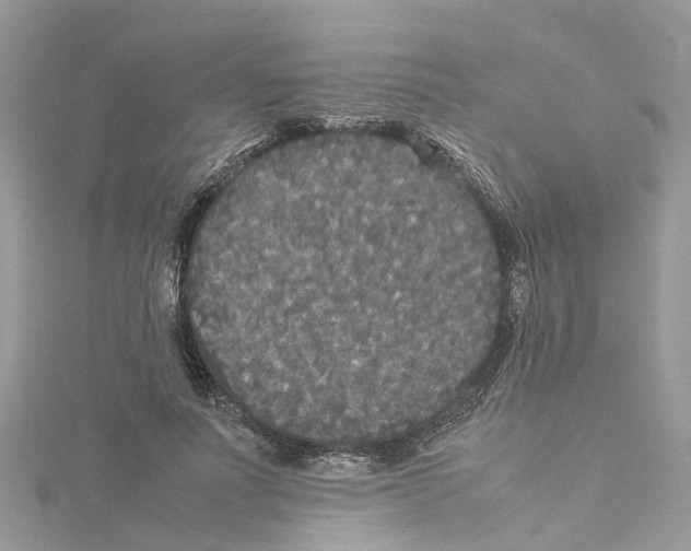 X0000114090691200911161037