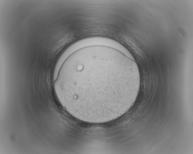 X0000114090696200911161037