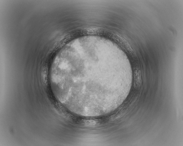 X0000114090698200911161037