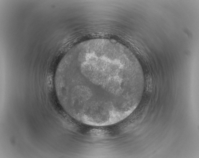 X0000114090699200911161037