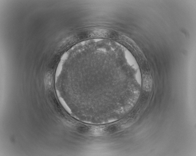 X0000114090701200911161037