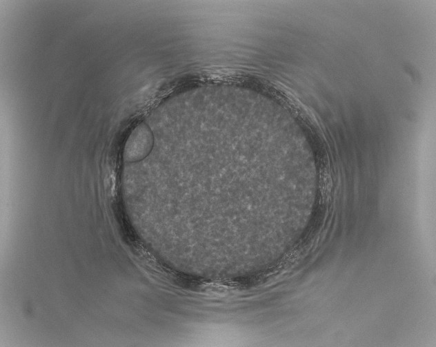 X0000114090703200911161037