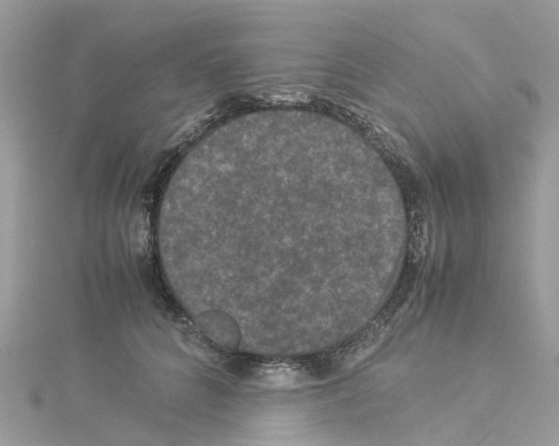 X0000114090704200911161037