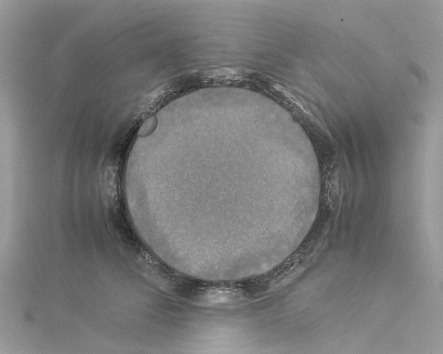 X0000114090708200911161037