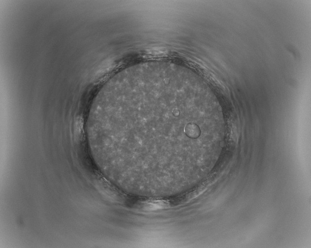 X0000114090711200911161037