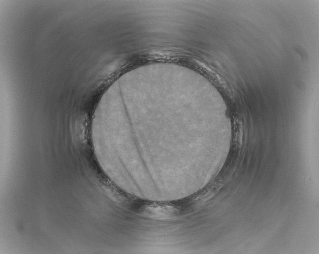 X0000114090712200911161037