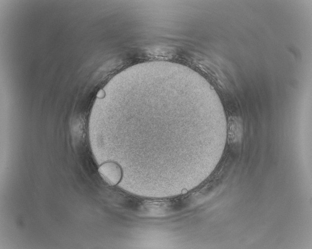 X0000114090713200911161037