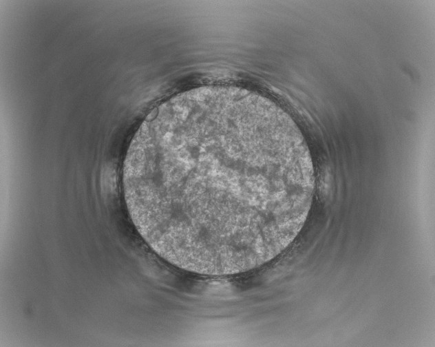 X0000114090715200911161037