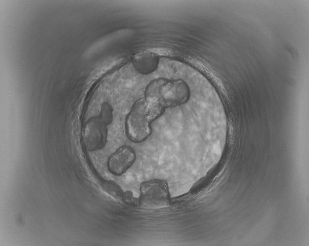 X0000114090721200911161036