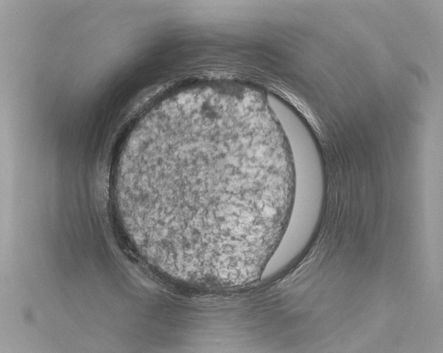 X0000114090722200911161036