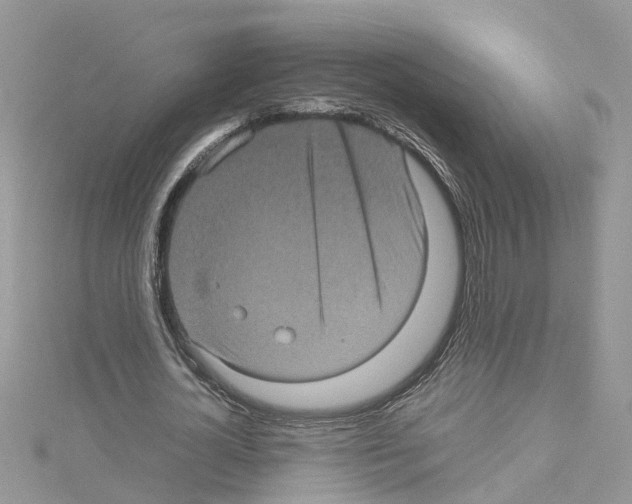 X0000114090724200911161036