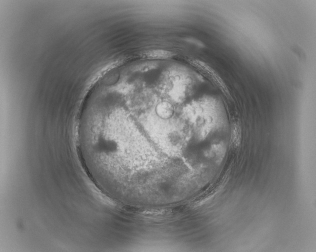 X0000114090725200911161036