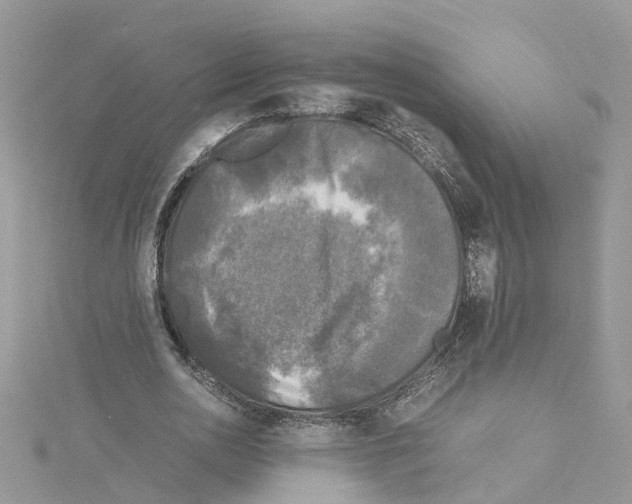 X0000114090726200911161036