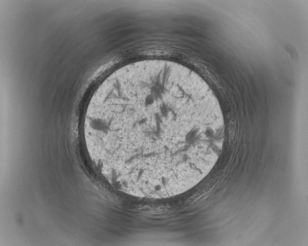 X0000114090727200911161036