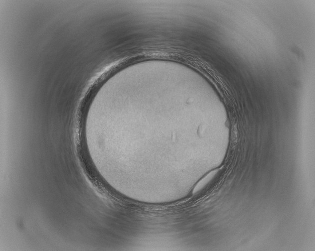 X0000114090728200911161036