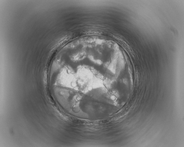 X0000114090729200911161036