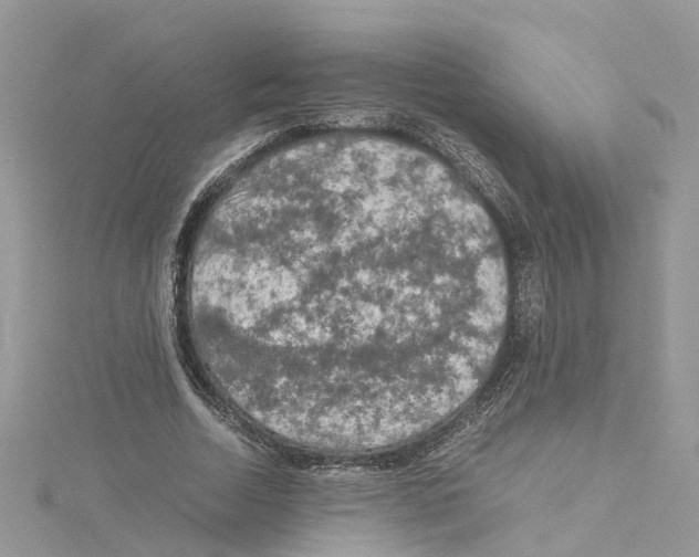 X0000114090730200911161036