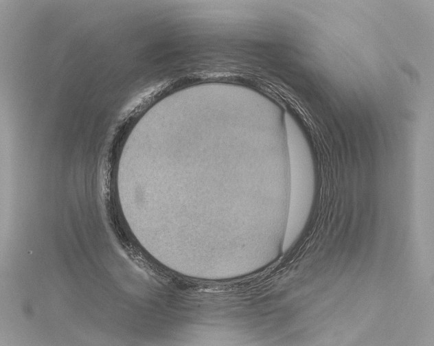 X0000114090732200911161037