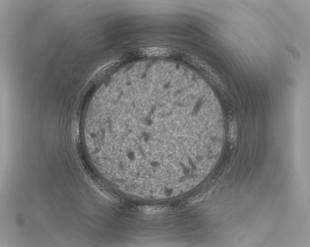 X0000114090733200911161037