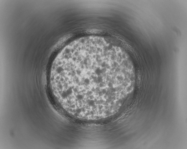 X0000114090734200911161037