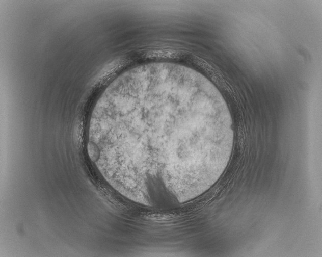 X0000114090735200911161037