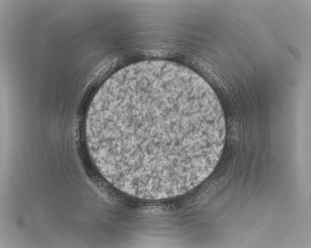 X0000114090738200911161037