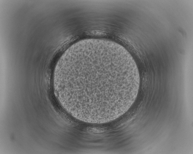 X0000114090739200911161037