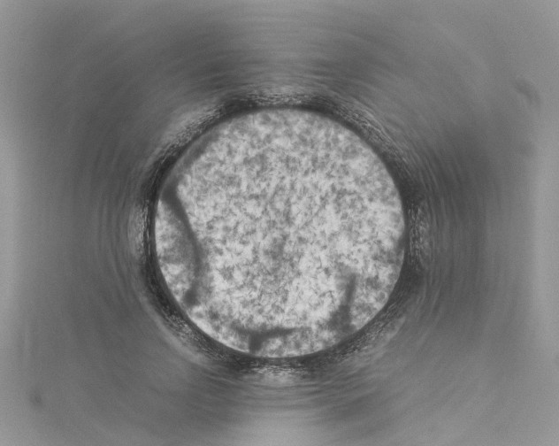 X0000114090742200911161037