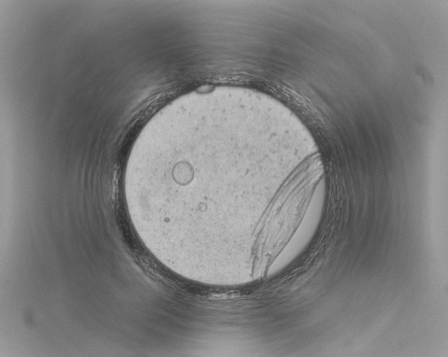 X0000114090744200911161037