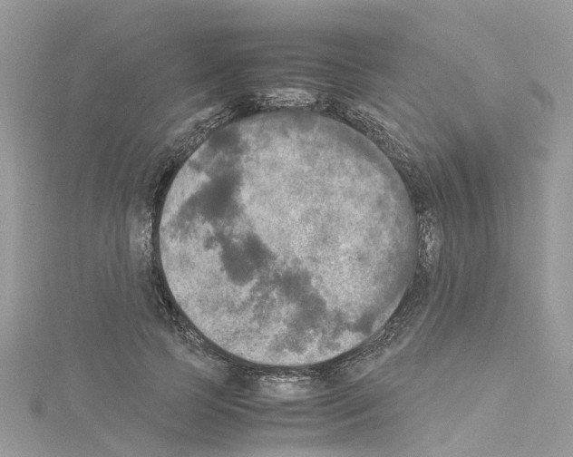 X0000114090745200911161037