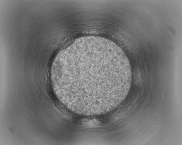 X0000114090747200911161037