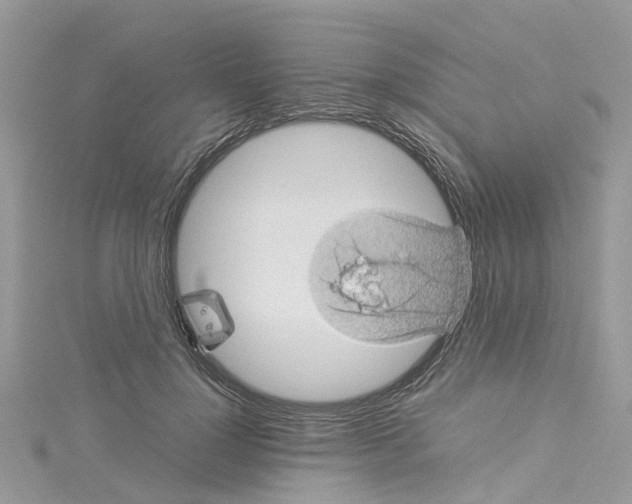 X0000114090748200911161037