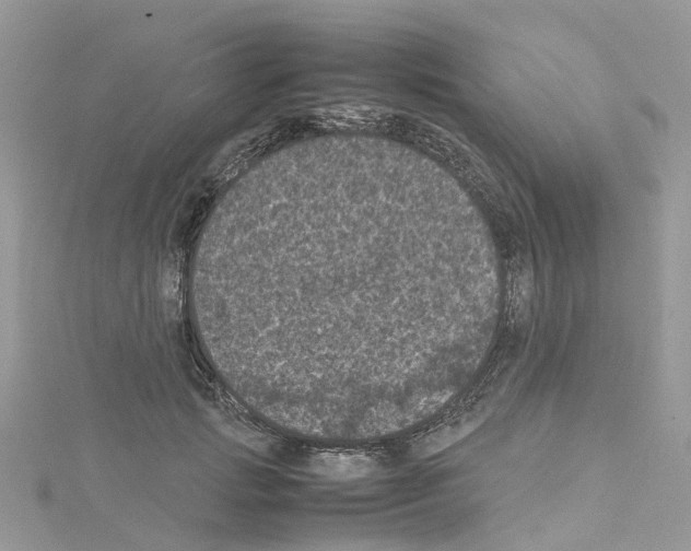 X0000114090749200911161037