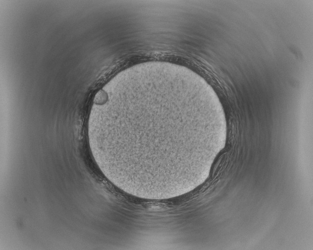 X0000114090750200911161037