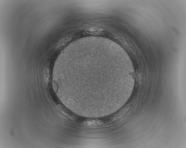 X0000114090752200911161037