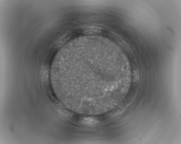 X0000114090753200911161037