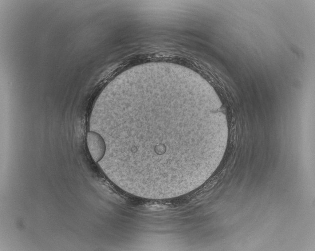 X0000114090756200911161037