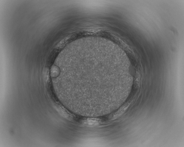 X0000114090758200911161037