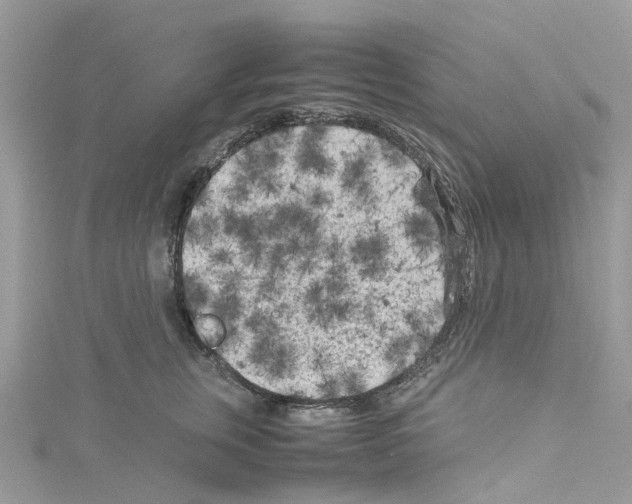 X0000114090759200911161037