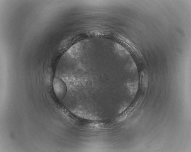 X0000114090760200911161037