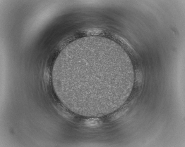 X0000114090761200911161037