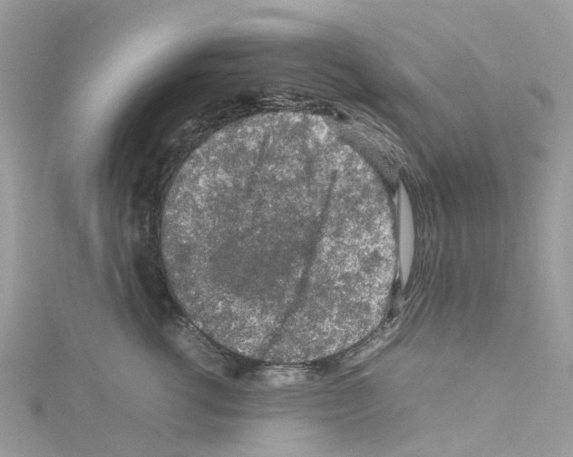 X0000114090762200911161037