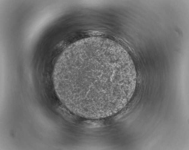 X0000114090763200911161037