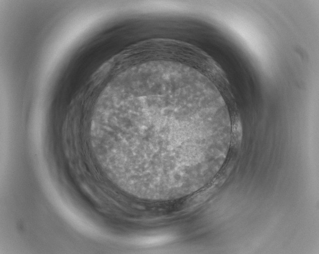 X0000114090765200911161037